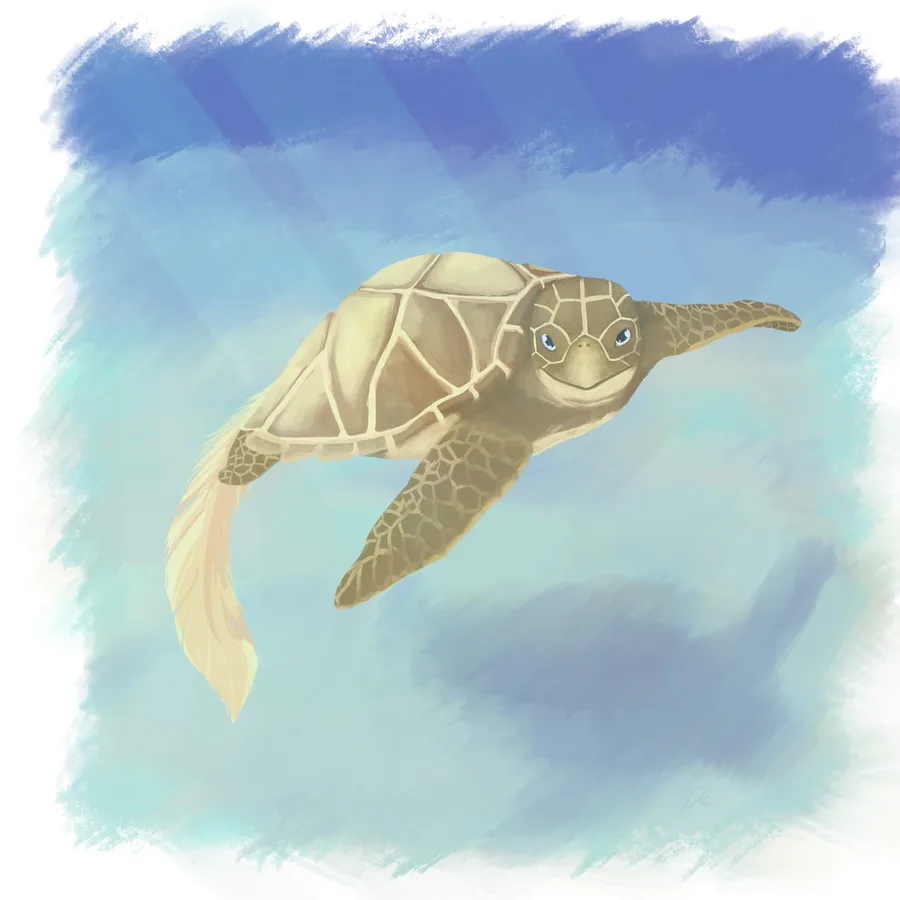 Hawk-billed Sea Turtle